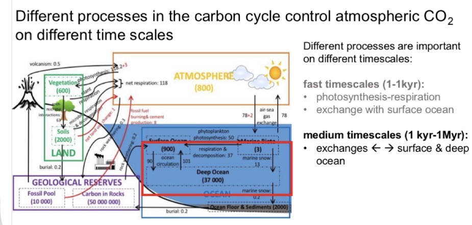 <p>Atmospheric concentration is controlled by different processes on different timescales.</p><p>On 1000-year timescales atmospheric is affected by exchange of carbon between the atmosphere and THE OCEAN which is controlled by OCEAN</p><p>PRODUCTIVITY AND OCEAN CIRCULATION.</p>
