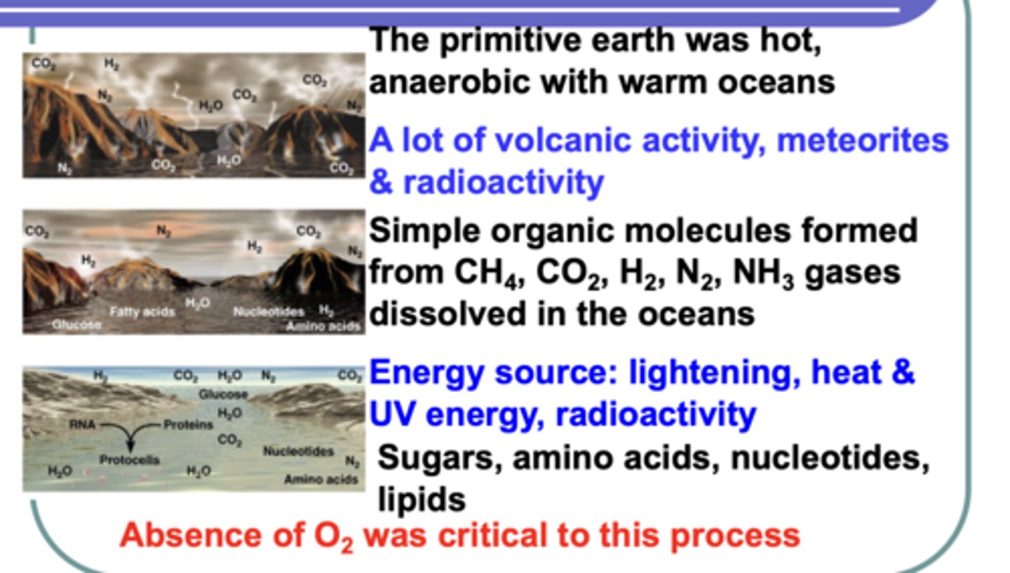 <p>· Earth's chemistry is diff</p><p>- There's much more oxygen (even deep in the ocean)</p><p>o Oxygen is toxic in the early stages of life's development bc it breaks down organic molecules</p><p>· Life already exists everywhere</p><p>- Seemingly barren environments are chock full of modern bacteria/archaea</p><p>o Their ancestors left alkaline vents, then returned millions of yrs later & repopulated inside, kicking out any other microbial residents</p><p>- Simpler/newer forms of life will most likely be overpowered/devoured by more evolved/adapted current lifeforms</p>