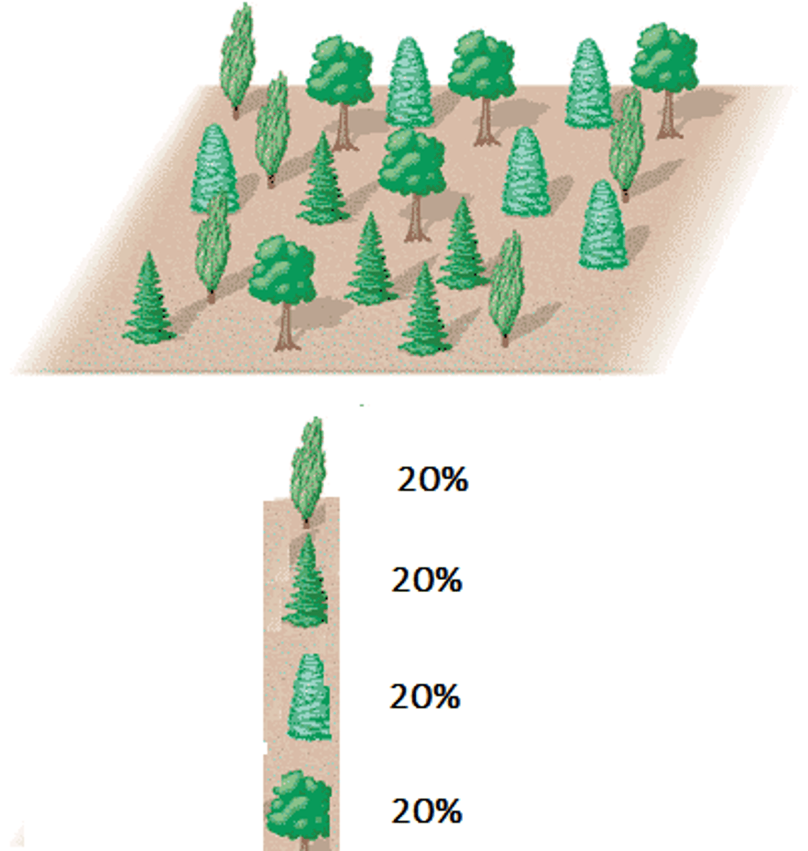 <p>The number of species in a region or in a particular ecosystem</p>