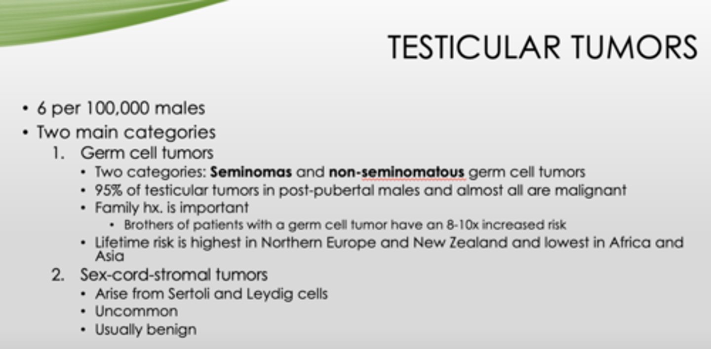<p>- Germ cell</p><p>- Sex-cord-stromal</p>