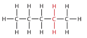 <p>5 Carbons</p>