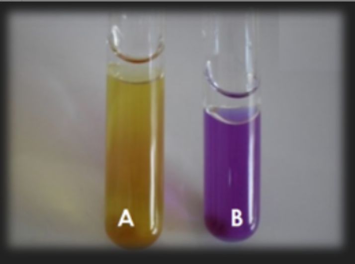 <p>What test is this?</p>