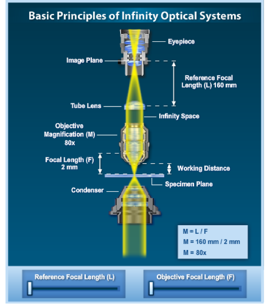 <p>infinity-corrected microscope optical systems are designed to enable the inception of auxiliary optical devices into the optical pathway between the objective and eyepieces without introducing spherical aberration, requiring focus corrections, or creating other image problems.</p>