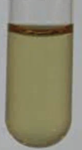 <p>Is this a positive or negative VP test?</p>