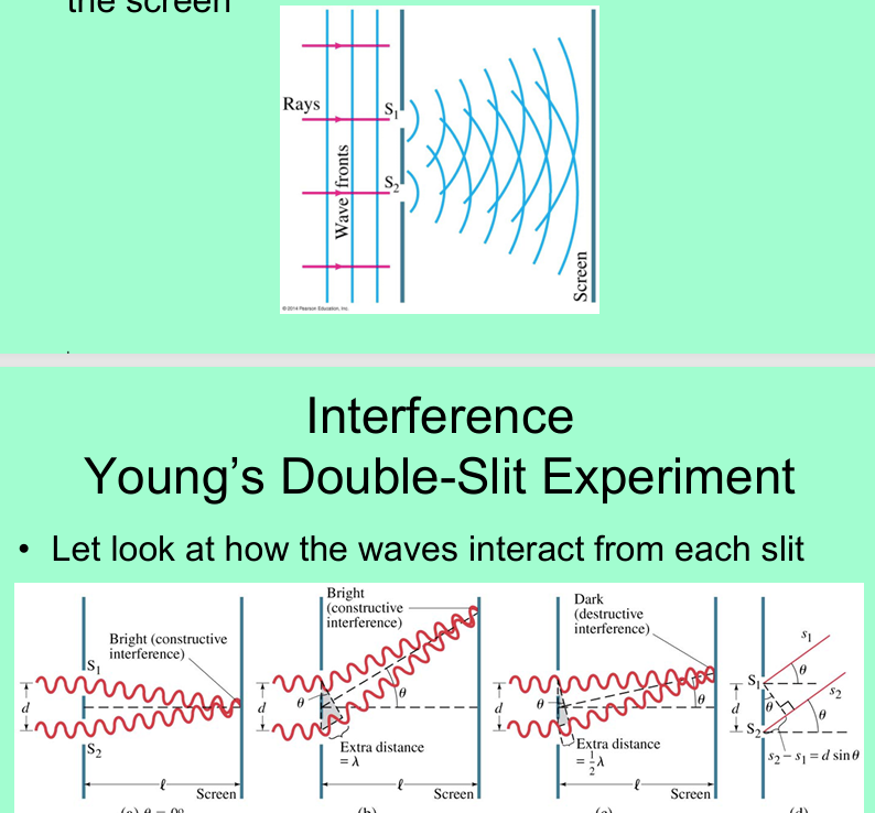 <ul><li><p>each slit produces a new wave front when it passes through each slit</p></li><li><p>each slit acts like a “new source” of a wave front</p></li><li><p>wave spreads out and interferes with each other (making them screen out) </p></li></ul><p></p>