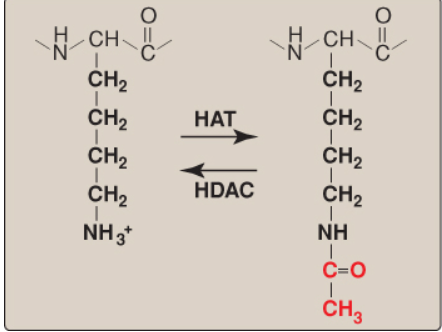 <p>What is this a diagram of?</p>