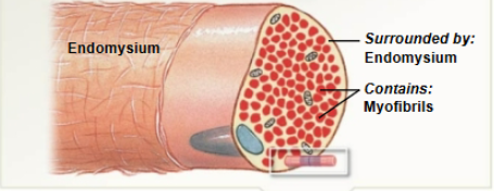 <p>What does this image represent?</p>