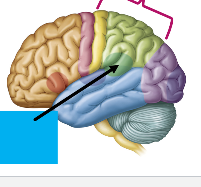 <p>What is the arrow pointing to?</p>