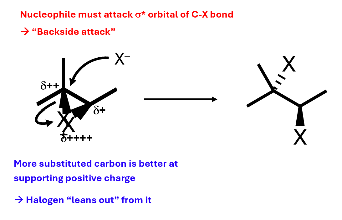 <ul><li><p>Nucleophile must attack sigma orbital of C-X bond - backside attack</p></li><li><p>More substituted carbon is better at supporting positive charge&nbsp;</p></li></ul><p></p>
