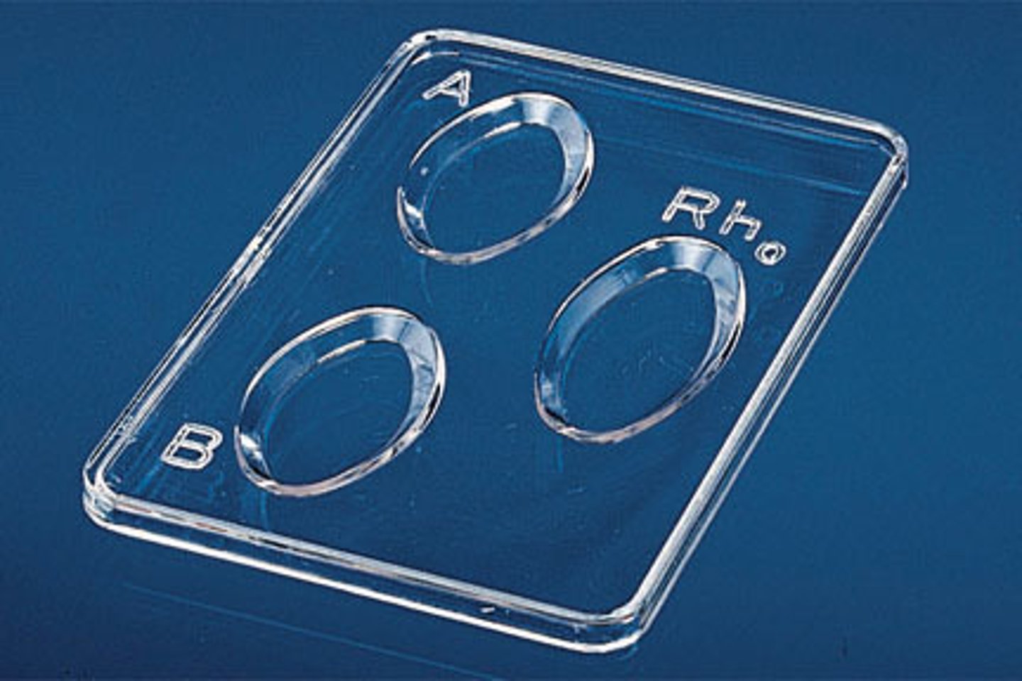 <p>A slide that holds blood when mixed with other substances to determine the type of blood.</p>
