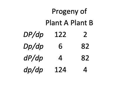 <p>In tomatoes, tall (D) is dominant over dwarf (d) and smooth fruit (P) is dominant over</p><p class="p1">pubescent fruit (p), which is covered with fine hairs. A farmer has two tall and smooth tomato plants, which we will call plant A and plant B. In two separate crosses, the farmer crosses plants A and B with the same dwarf and pubescent plant and obtains the following numbers of</p><p class="p1">progeny:<br><br>a. What are the genotypes of plant A and plant B?</p><p class="p1">b. Are the loci that determine the height of the plant and pubescence linked</p><p class="p1">c. What is the percent recombination between genes P and D? Do a separate calculation for</p><p class="p1">each cross</p><p class="p1">d. Explain why different proportions of progeny are produced when plant A and plant B are rossed with the same dwarf pubescent plant.</p>