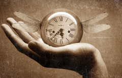 Ça veut dire "qui est de passage, temporaire"
