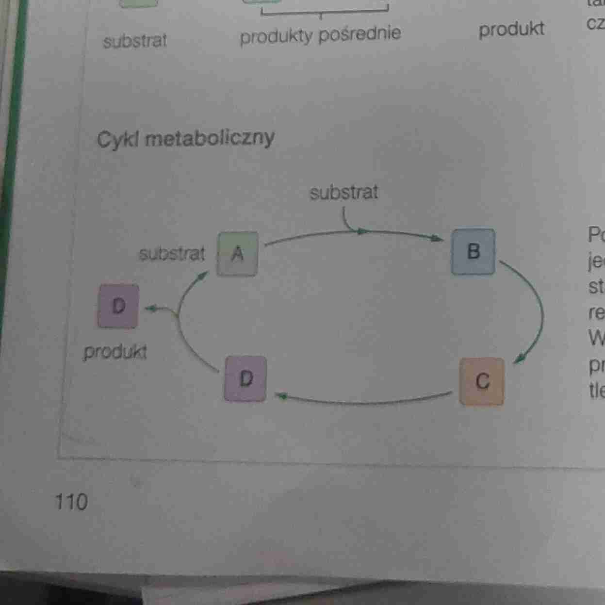<p>Jeden z produktów końcowych staje się substratem do pierwszej reakcji</p><p>Np. Oddychanie tlenowe</p>
