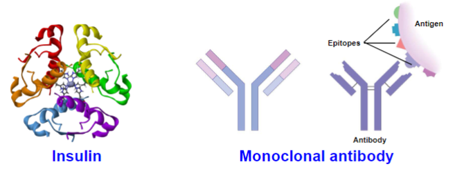 <ul><li><p>monoclonal antibodies, vaccines, recombinant proteins</p><ul><li><p><strong><u>created by biological processes</u></strong></p></li><li><p>may be extracted from human/animal tissues, tissue cultures or produced by recombinant DNA tech</p></li><li><p>more complex than small-molecule drugs</p></li><li><p>can be <strong><u>expensive</u></strong> to make</p></li></ul></li></ul>