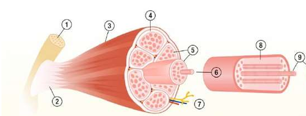 <p>was ist 9 hier&nbsp;</p>