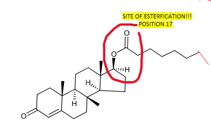 <p>How it is produced? Esterifying a fatty acid to make it 17b-hydroxyl group of testosterone</p><p>SITE OF ESTERFICATION—&gt; POSITION 17</p>