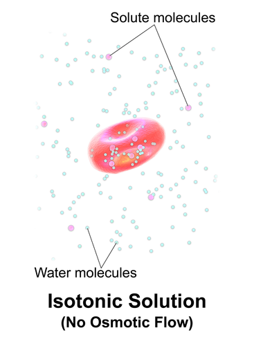 The osmolarity of two solutions is the same.