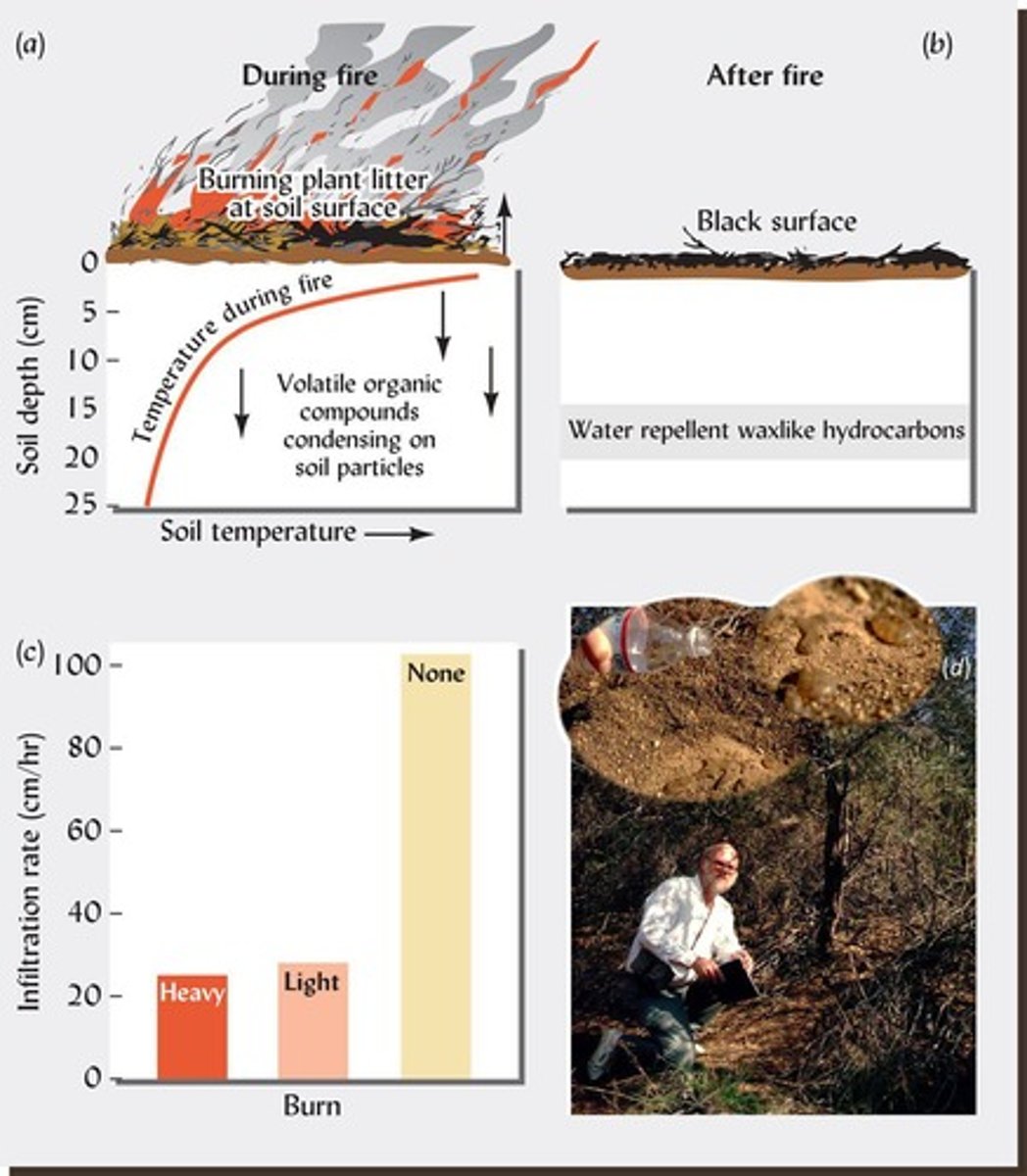 <p>Fire can stimulate seed germination, increase nutrient cycling, and change organic matter.</p>