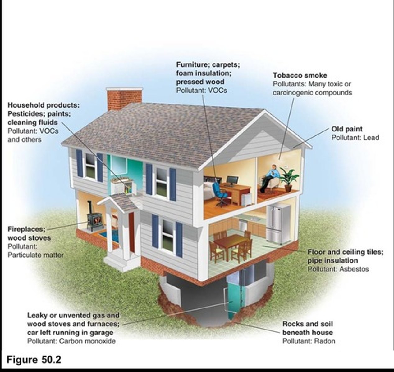 <p>Devices to detect harmful carbon monoxide gas.</p>