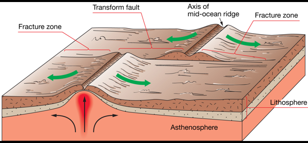 <p><strong>Oceanic ridge</strong></p><p>•Prominent rift valley</p><p>•Steep, rugged slopes</p><p>•Example:  Mid-Atlantic Ridge</p><p style="text-align: left;"></p><p style="text-align: left;"></p><p style="text-align: left;"><strong>Oceanic rise</strong></p><p>•Gentler, less rugged slopes</p><p>•Example:  East Pacific Rise</p><p></p><p>•Down-dropped rift valley at central crest (A down-dropped rift valley is the low central groove that forms along the top of a mid-ocean ridge where the crust is being pulled apart. Rock on either side stays higher while the middle block sinks a bit, making a long narrow trench along the ridge axis)</p><p>•Cracks (fissures) and faults are common (Cracks called fissures form when the pulling stretches and breaks the crust; magma can reach the surface through these fissures and make new volcanic rock.)</p><p></p><p>In the photo, it is a shield volcano</p><p>-Buoyant ascending mantle</p><p>-HOT but not melting. When you BREAK it OPRN, lava can flow out</p>