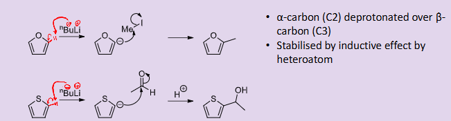 <ul><li><p>it can only occur on the alpha carbon and not on the heteroatom like pyrrole </p></li></ul><p></p>