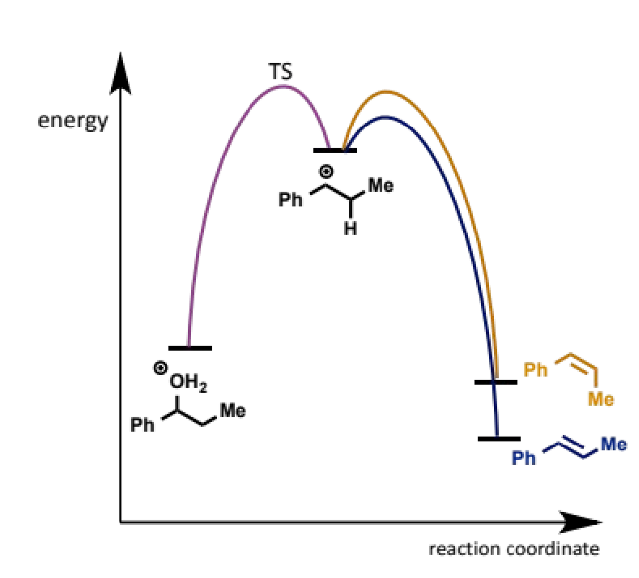<ul><li><p>the E-alkene is more stable than the Z but also</p></li><li><p>pathway to E from common intermediate is lower in energy and hence faster than Z</p></li></ul><p></p>