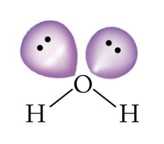 <p>What is the steric number of this molecule?</p>