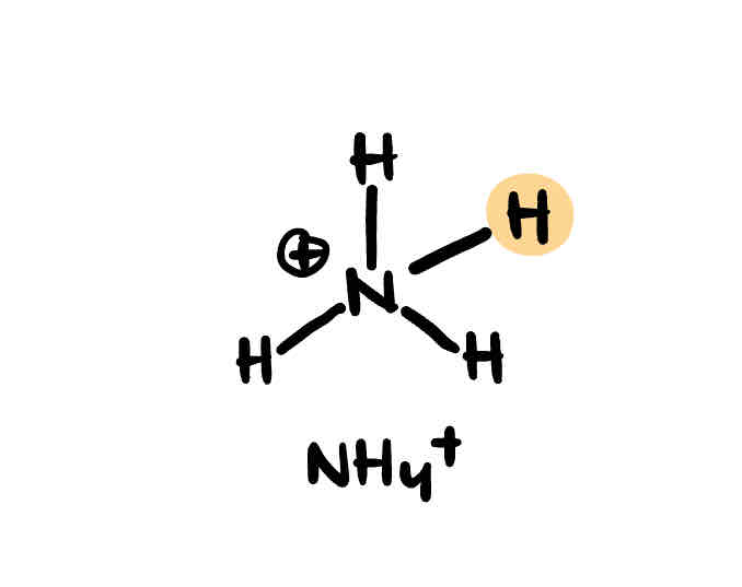 <p>NH4+</p>