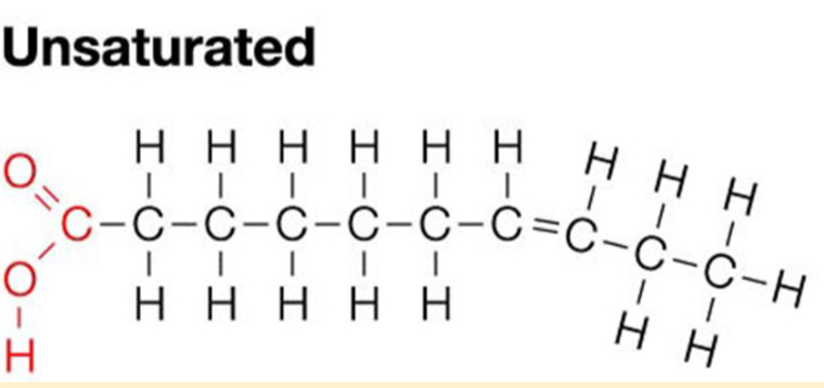 <p>The hydrocarbon chain consists of <span style="color: red"><mark data-color="yellow" style="background-color: yellow; color: inherit">at least one double bond</mark></span></p><ul><li><p>Causes kinks in the chain </p></li></ul>