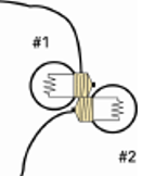 <p><span>Indicate which bulb(s) will light, if any:</span></p>