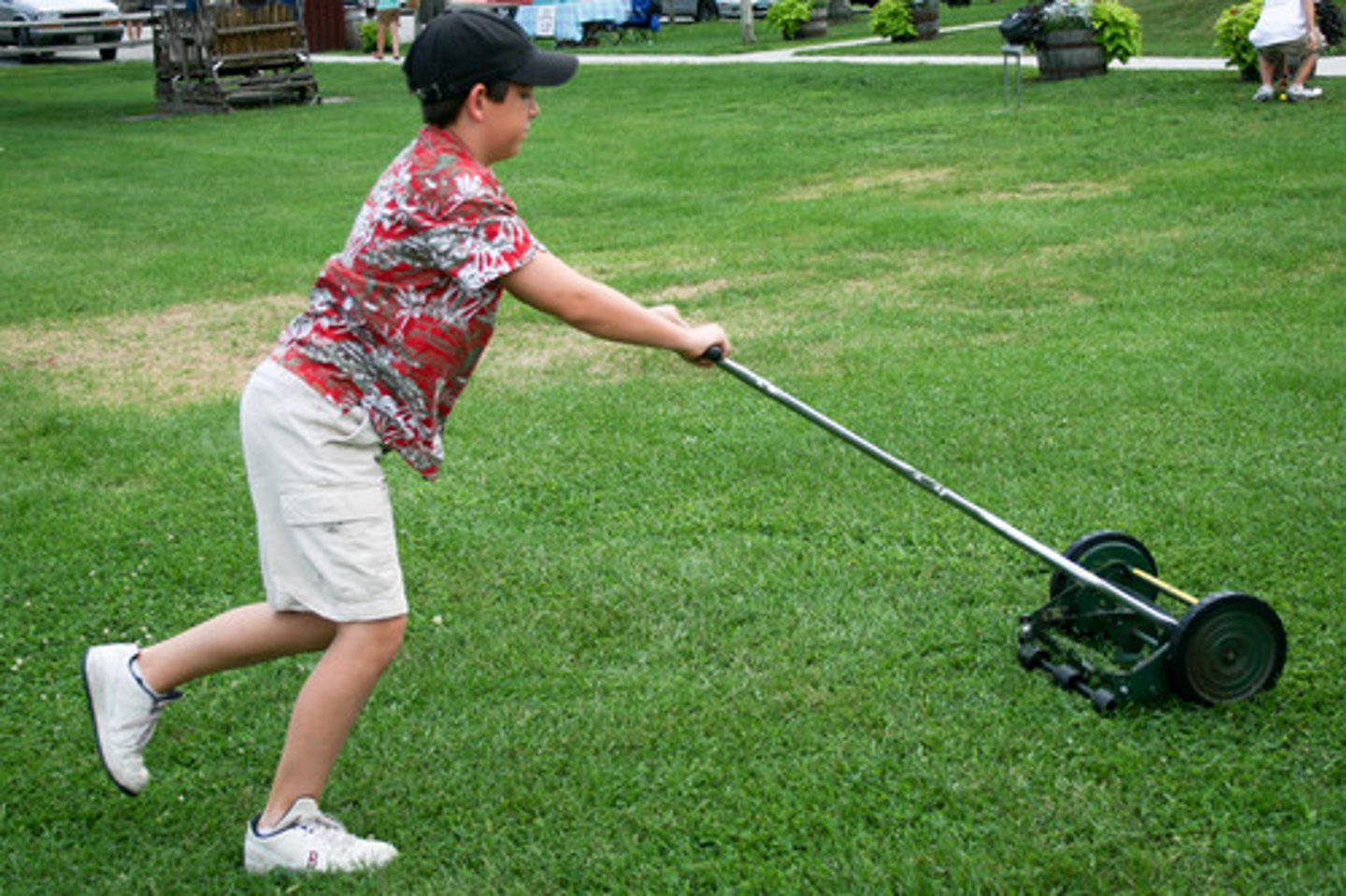 <p>to mow (grass)</p>