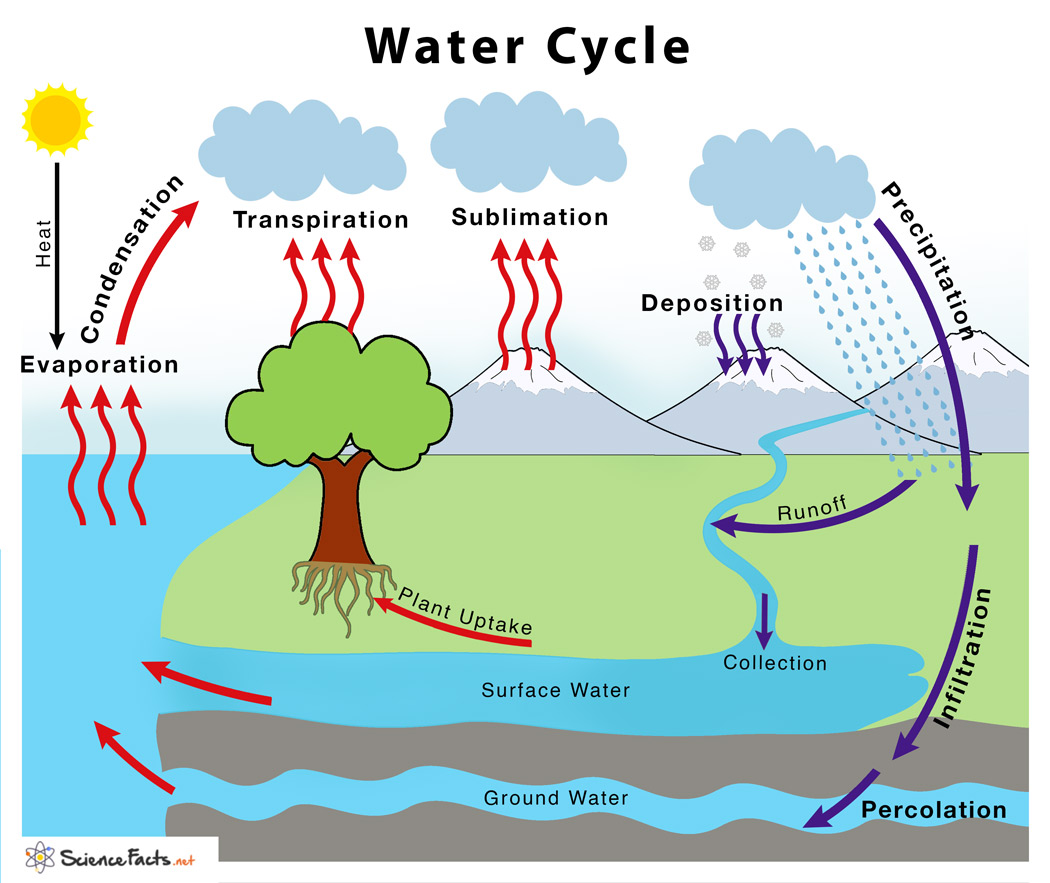 <p>The continuous movement of water on and above the Earth’s surface powered by the sun.</p>