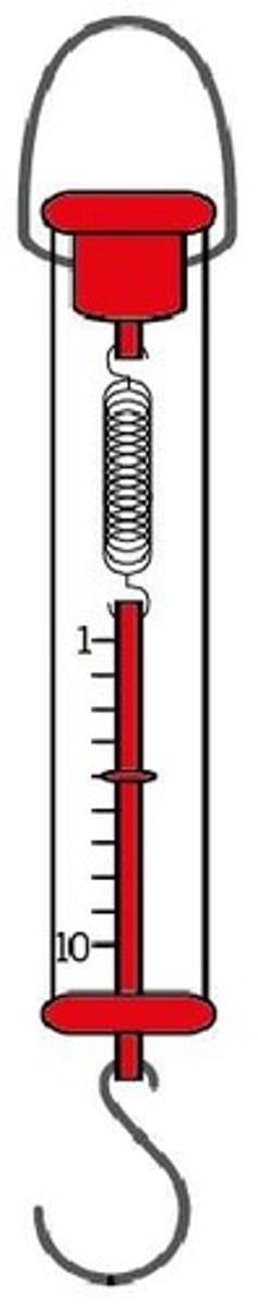 <p>Newtonmeter</p>
