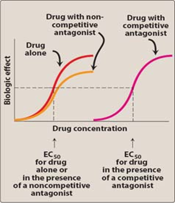 <p>Competitive (reversible) Antagonists</p>
