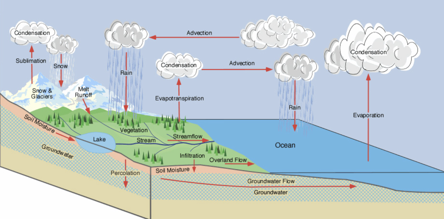 <p>Shows how water moves between different stores. These flows are driven by energy from solar radiation and gravity.</p>