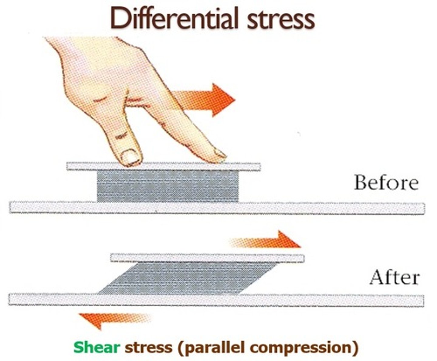 <p>moves one part of a material sideways relative to another</p>