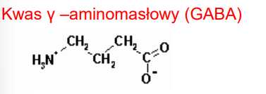 - inaczej GABA
- Wolny aminokwas
- mózg i inne tkanki
- neurotransmiter