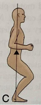 <ul><li><p>Lowering of COG toward BOS</p></li><li><p>lower extremity flexion </p></li><li><p>easier to control COG</p></li></ul><p></p>