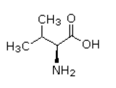 <p>Which amino acid is this (bond-line)?</p>