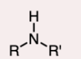 <p>the nitrogen atom is bonded to two R groups and one&nbsp;hydrogen atom. </p>