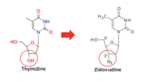 <p>Zidovudine Inhibition of Reverse Transcriptase SAR</p>