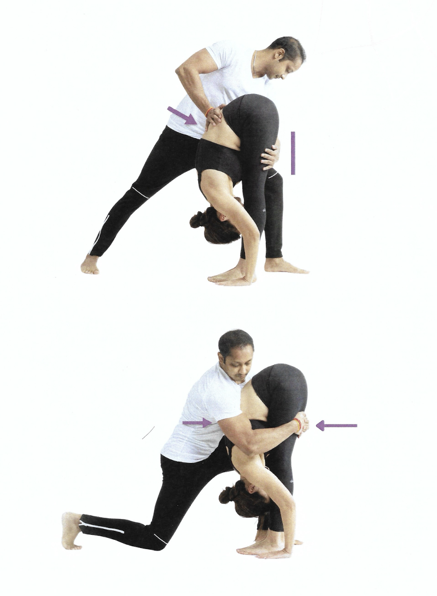 <p>Standing Forward Bend</p>