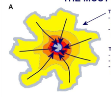 <p>High density center, people move from outside in </p>