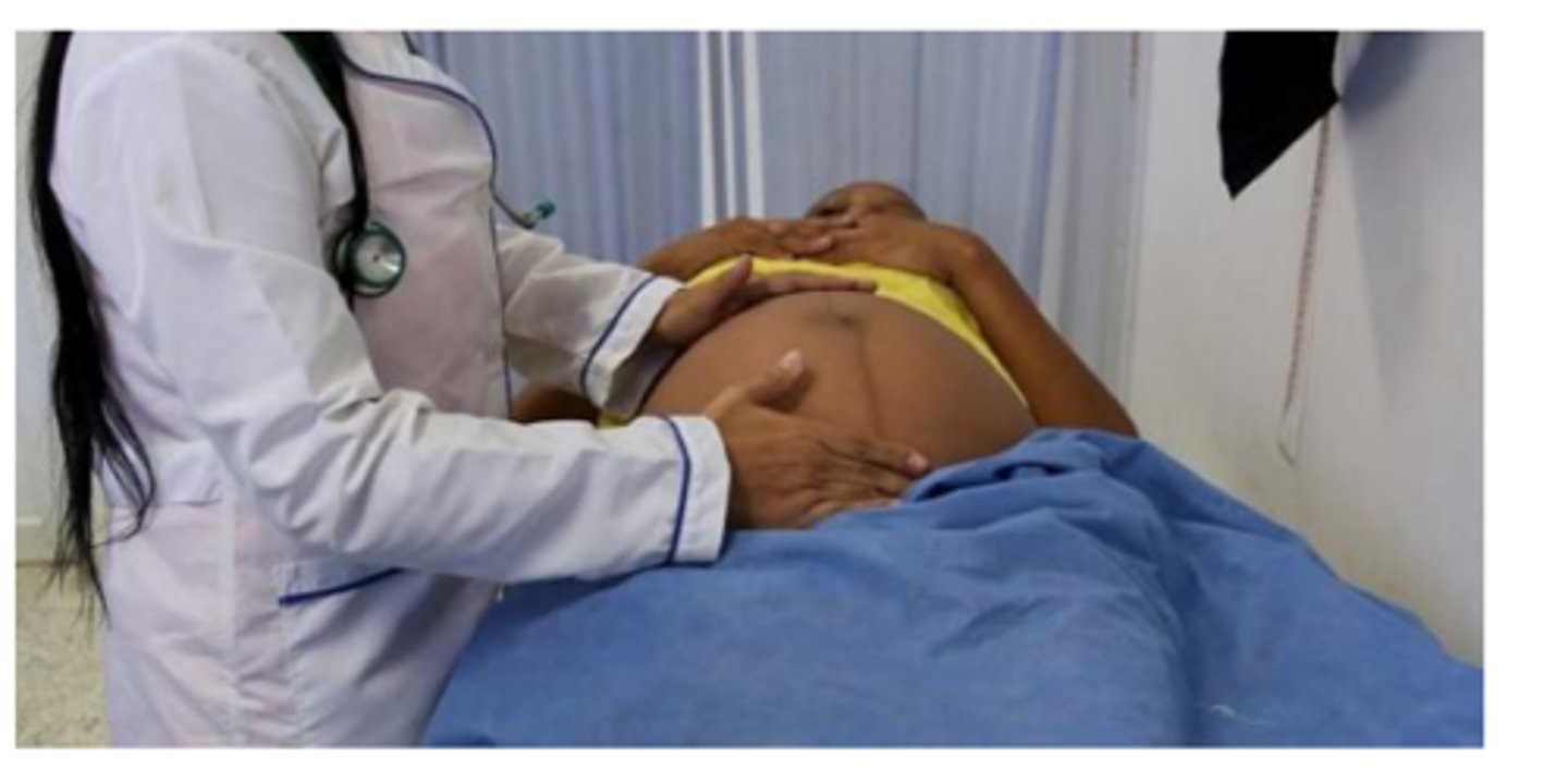 <p>Emerging evidence for a broad range </p><p>of possible complications for babies born to </p><p>women infected with Zika viru</p><p>s</p><p>Effects on other brain abnormalities, apart from microcephaly</p>