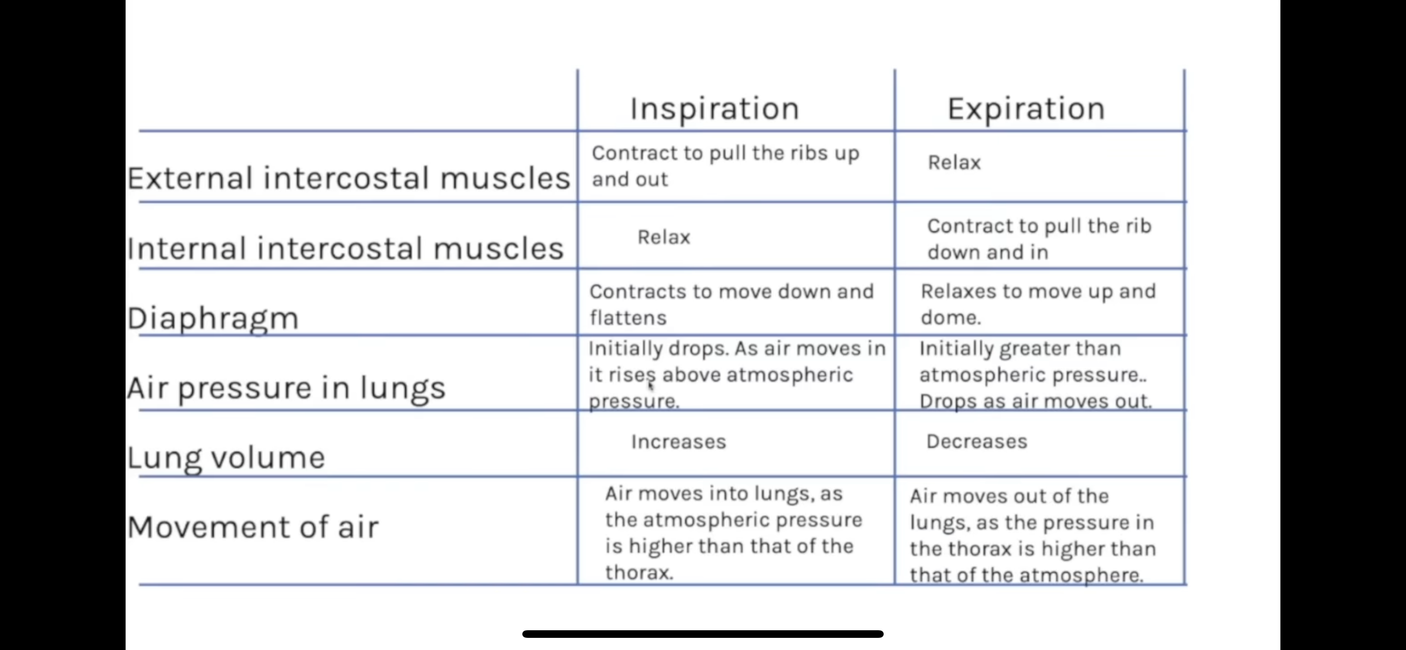 knowt flashcard image