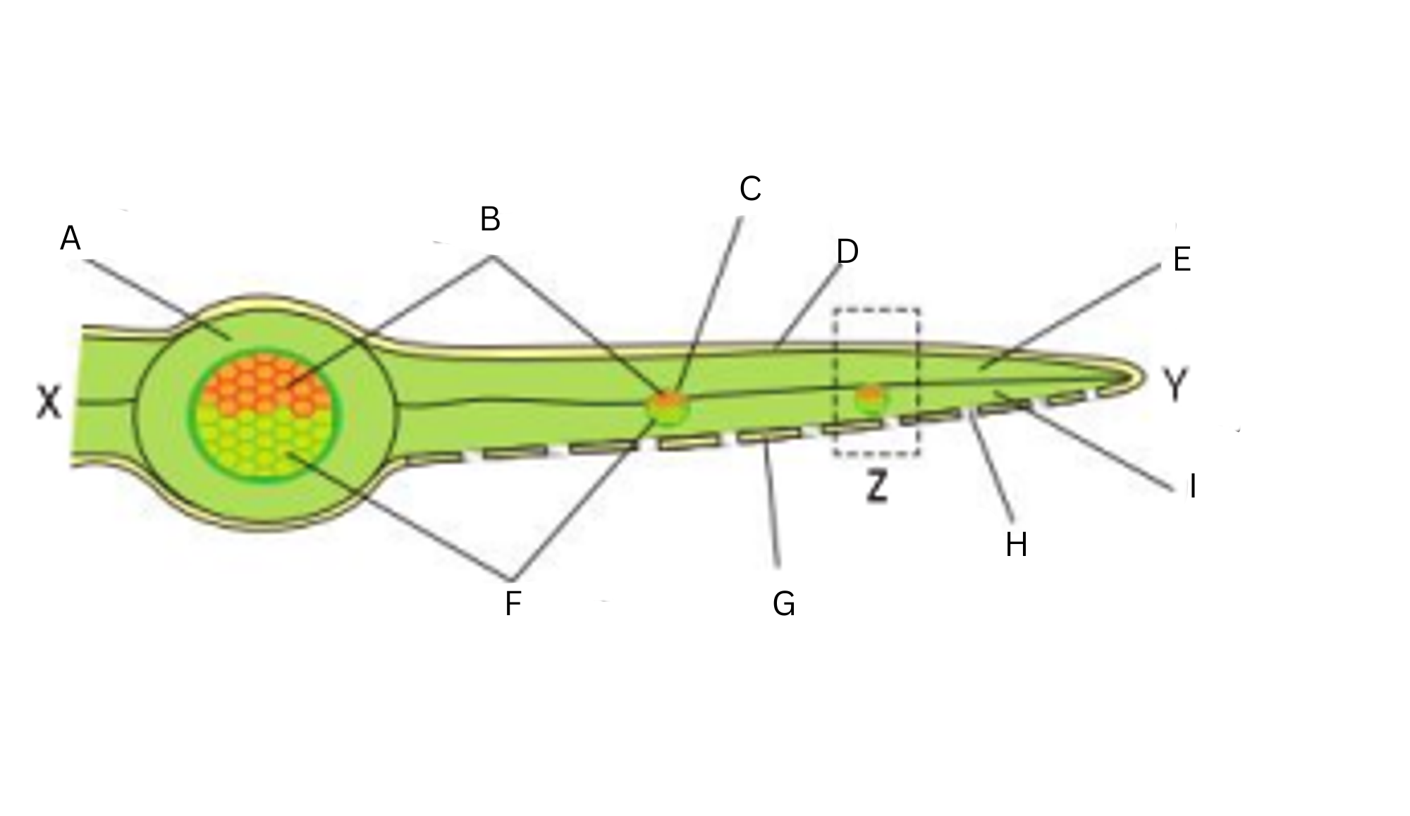 <p>Label this diagram (9)</p>