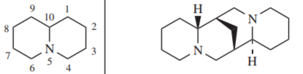 <p>From Fabaceae: Laburnum, Cystisus </p><p>Examples are Sparteine and lupanine </p><p>Smoking cessation: nicotinic AcH agonist </p><p>Herbivore deterrent</p>