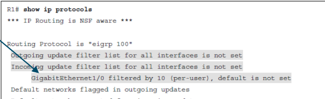 <p>show ip protocols</p>