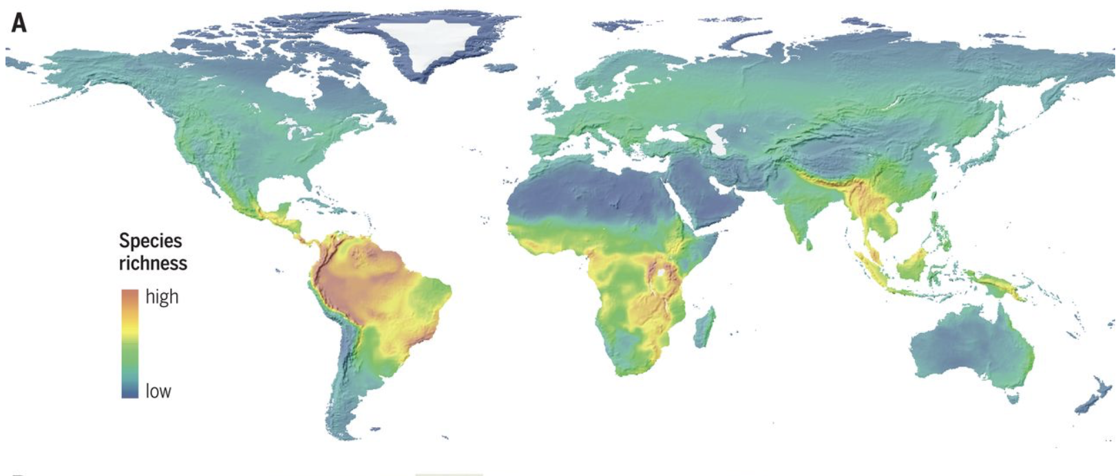 <ul><li><p>increase in species from the poles to the tropics </p></li><li><p>temperatures are higher and precipitation is greater at lower latitudes </p></li><li><p>needed for species growth + survival - more energy here </p></li><li><p>e.g. troical diversity among mammals die to higher levels of fruit-eating lifestyle </p></li><li><p>Cox and Moore, 2019 </p></li><li><p>Diagram from Rahbek et al., 2019 </p></li></ul><p></p>