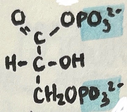 <p>name the following intermediate</p>
